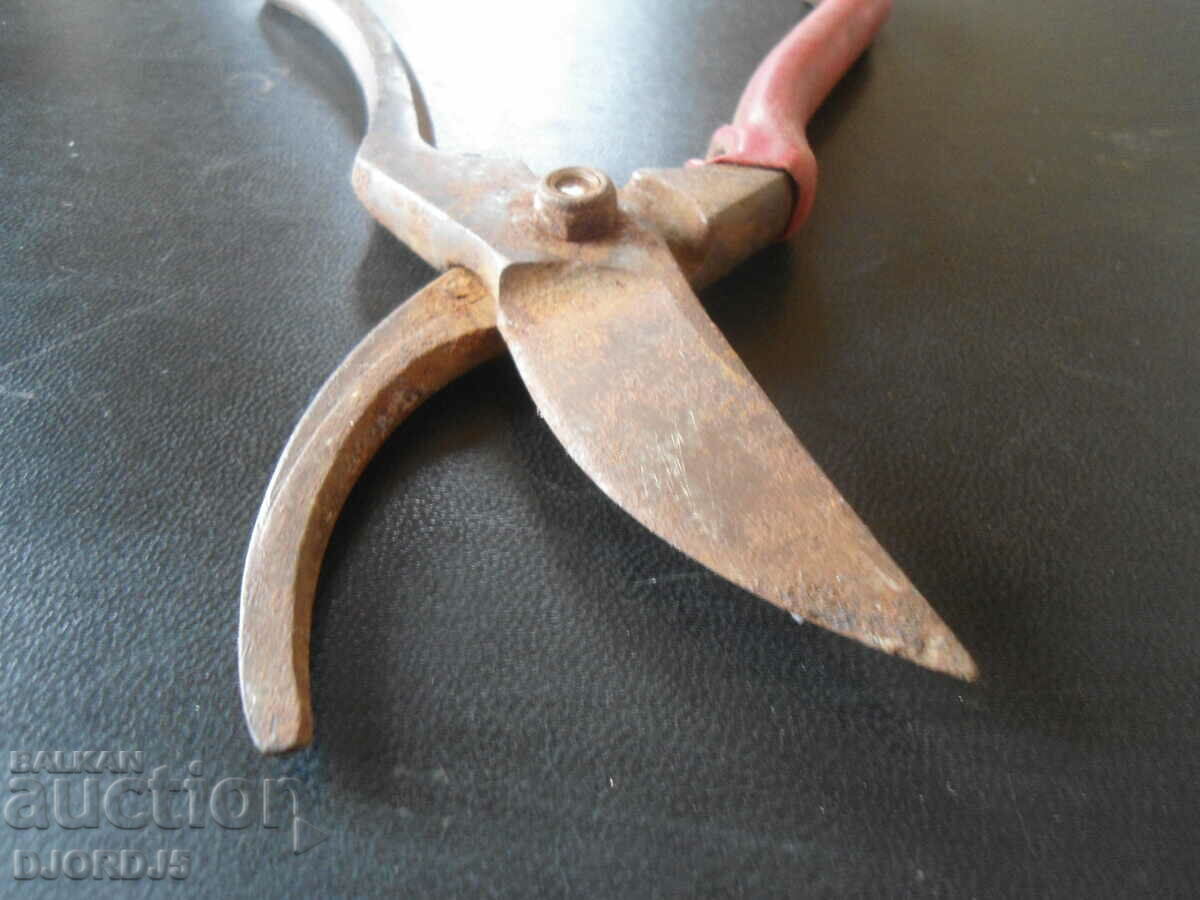 Delivery of Old vine shears Delivery of Old vine shears