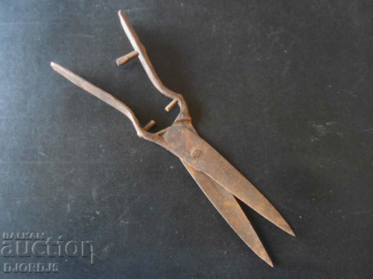 Delivery of Old forged scissors Delivery of Old forged scissors