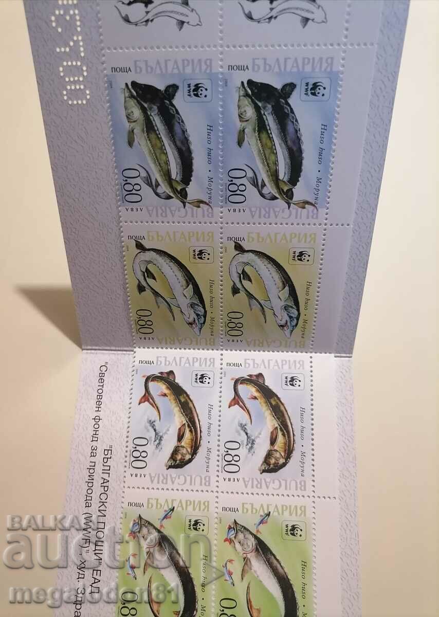 Bulgaria - Moray Carnet, WWF, 2004 with price 16.00 BGN | € 8.18 Bulgaria - Moray Carnet, WWF, 2004 with price 16.00 BGN | € 8.18
