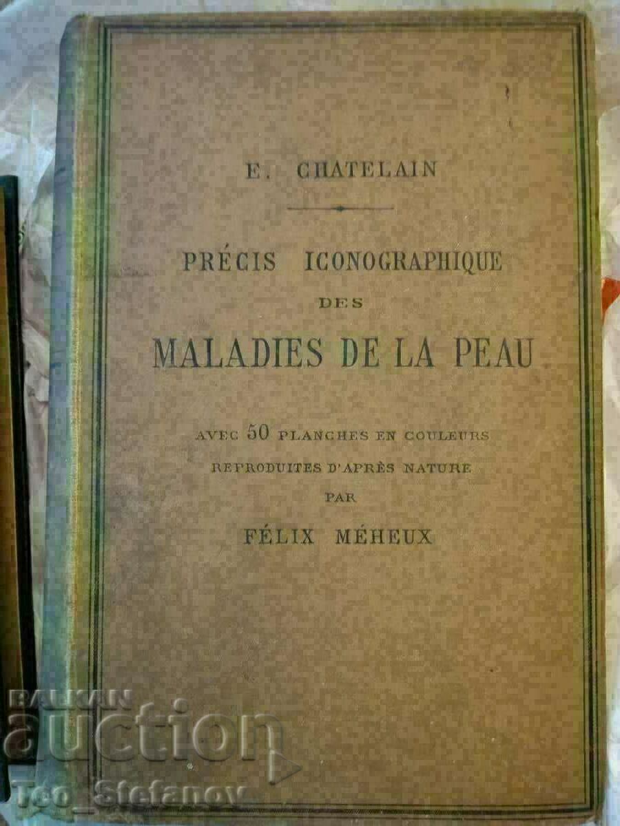 Encyclopedia of Skin Diseases, Paris, 1893