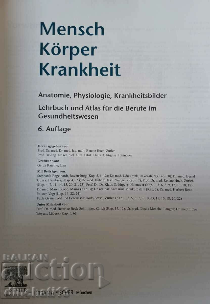 Auction Mensch Körper Krankheit 6. Auflage. Human diseases Auction Mensch Körper Krankheit 6. Auflage. Human diseases