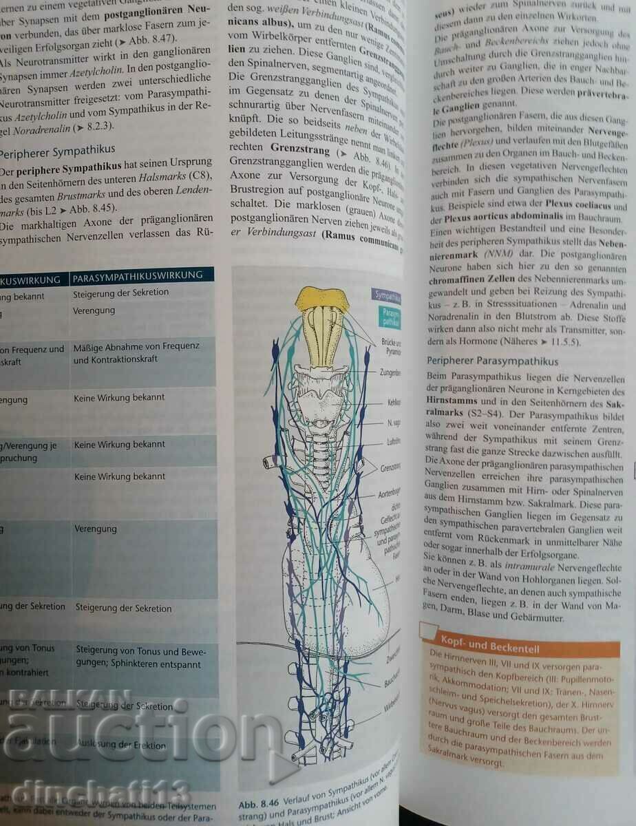 Delivery of Mensch Körper Krankheit 6. Auflage. Human diseases Delivery of Mensch Körper Krankheit 6. Auflage. Human diseases