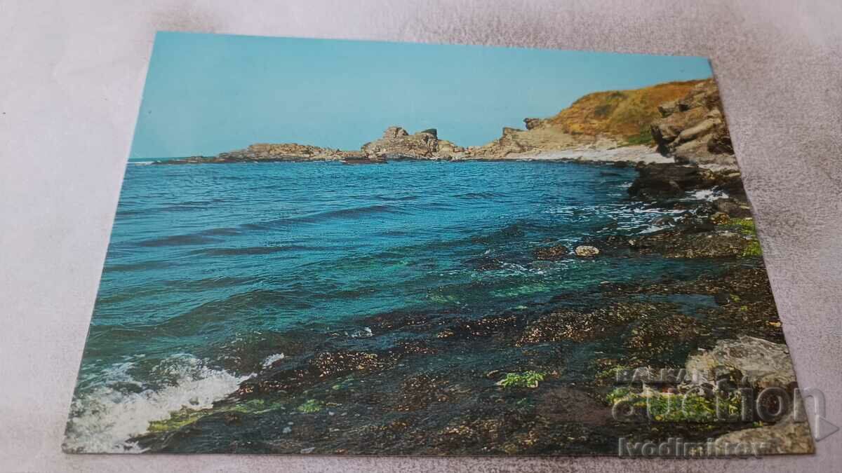 Postcard Near Michurin 1988