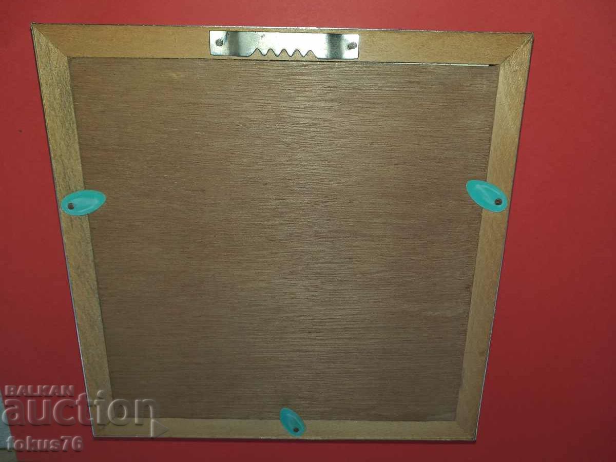 Butterfly in a frame - 5