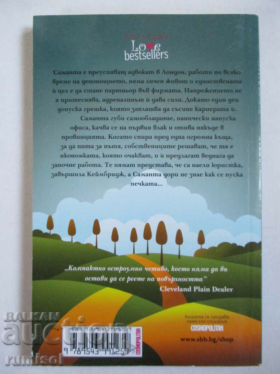 Auction  Mistress of the Broom - Sophie Kinsella