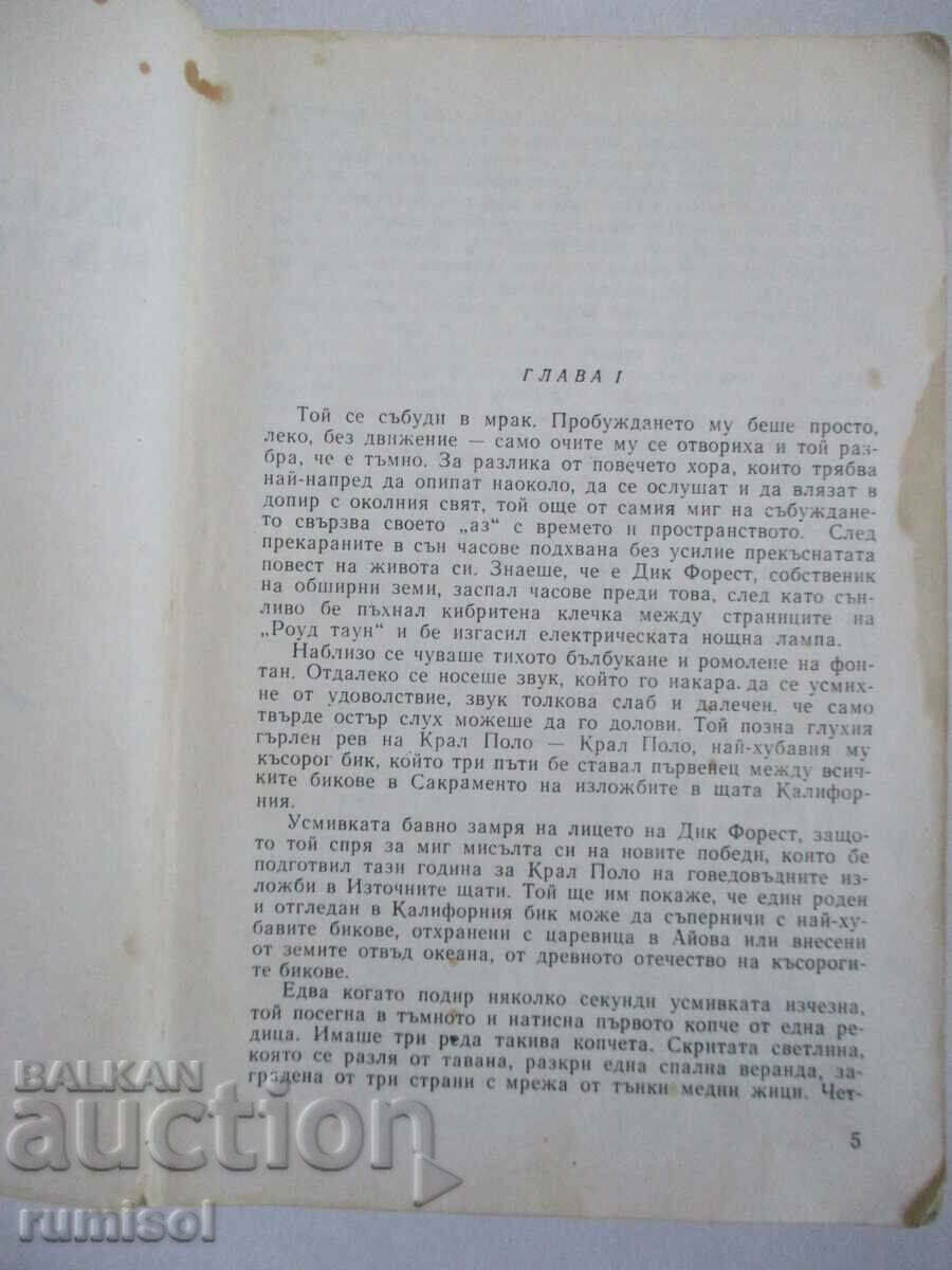 Livrarea Mica stăpână a casei mari - Jack London