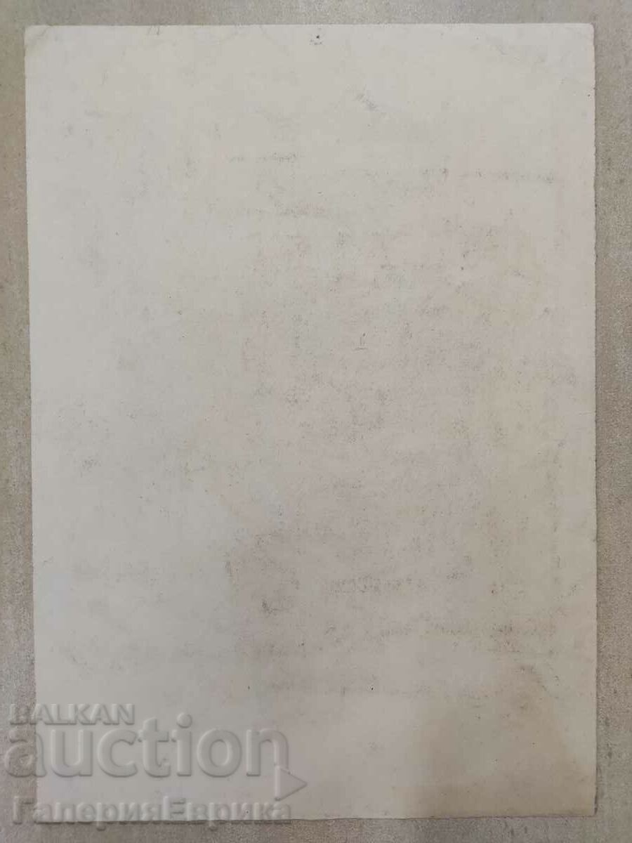 Livrarea Desen maestru