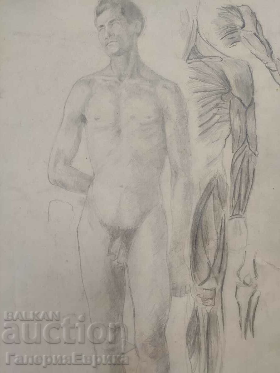 Auction Master drawing Auction Master drawing