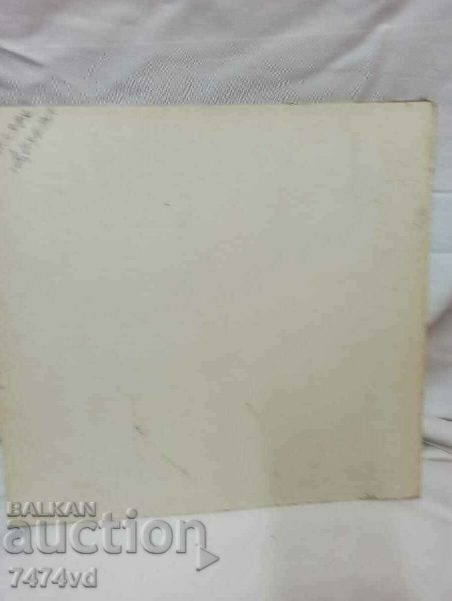 LILJANA DICHEVA with price 200.00 BGN | € 102.26 LILJANA DICHEVA with price 200.00 BGN | € 102.26