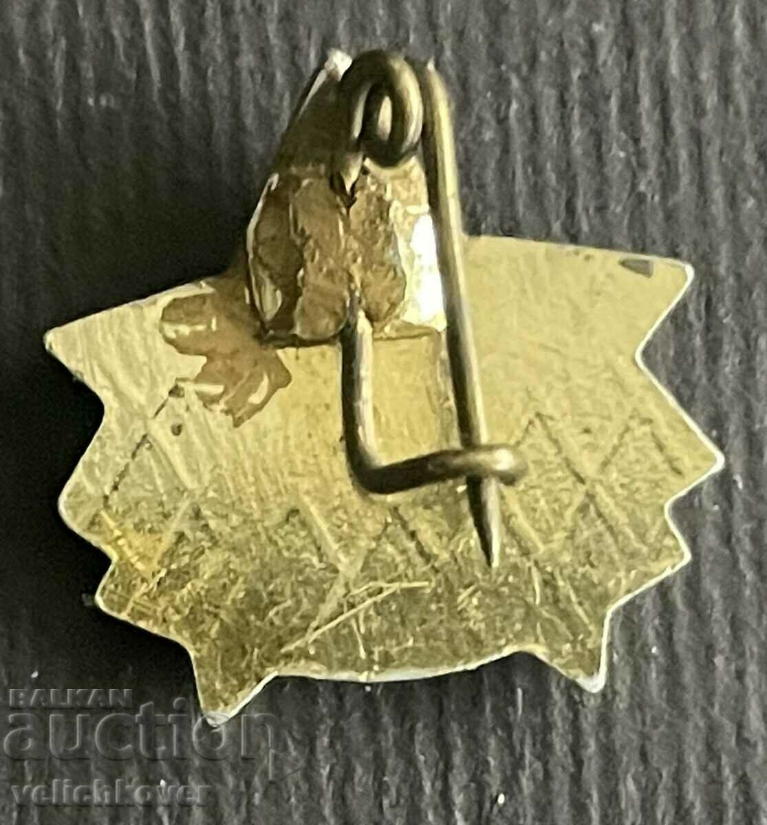 36063 Bulgaria pioneer sign DPO September pioneers with price 4.00 BGN | € 2.05 36063 Bulgaria pioneer sign DPO September pioneers with price 4.00 BGN | € 2.05