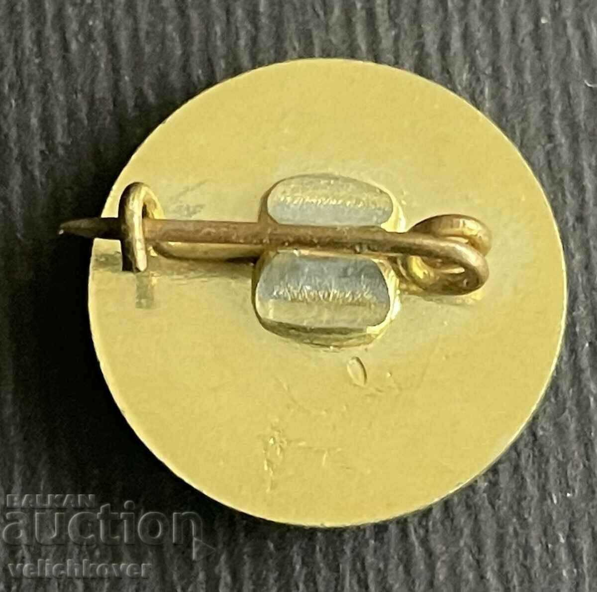 36064 Bulgaria sign Rally Golden Sands Albena 1982. with price 4.00 BGN | € 2.05 36064 Bulgaria sign Rally Golden Sands Albena 1982. with price 4.00 BGN | € 2.05