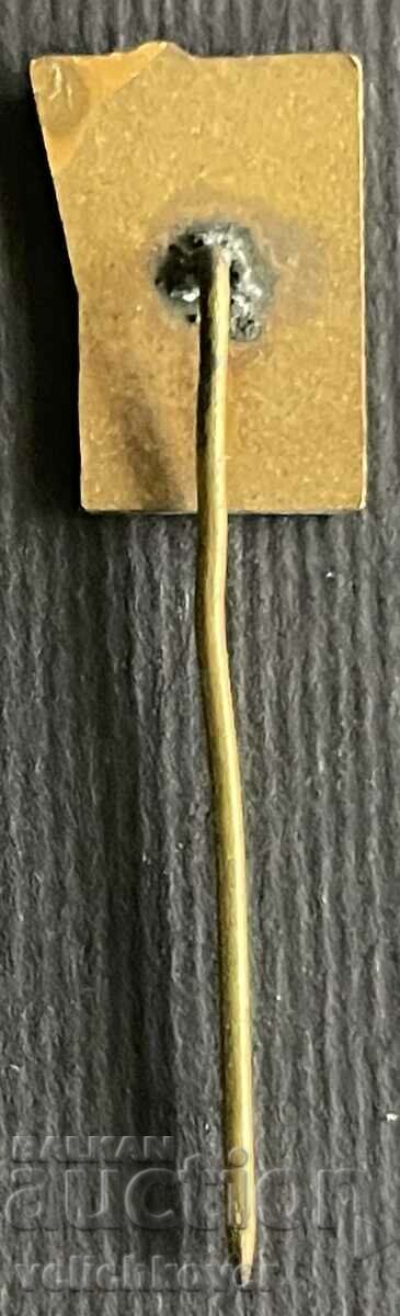 Auction 36066 Bulgaria sign Pioneer cross SM Rodina enamel Auction 36066 Bulgaria sign Pioneer cross SM Rodina enamel