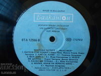 Mustafa Chaushev, VTA 12566, disc de gramofon, mare