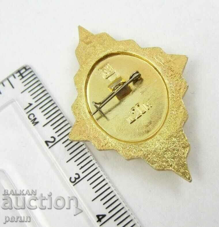 Auction HONORS-VDPO-FIREFIGHTER N AWARD BADGE-ROMB Auction HONORS-VDPO-FIREFIGHTER N AWARD BADGE-ROMB