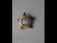 Значка: Български професионални съюзи (БПС) (бронз с емайл)