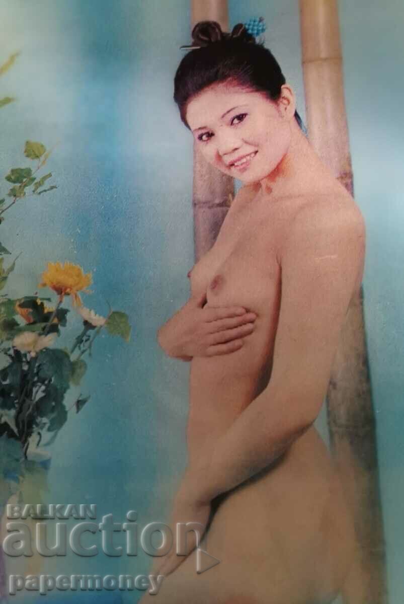 Carte poștală japoneză 3D erotică femeie nudă erotică
