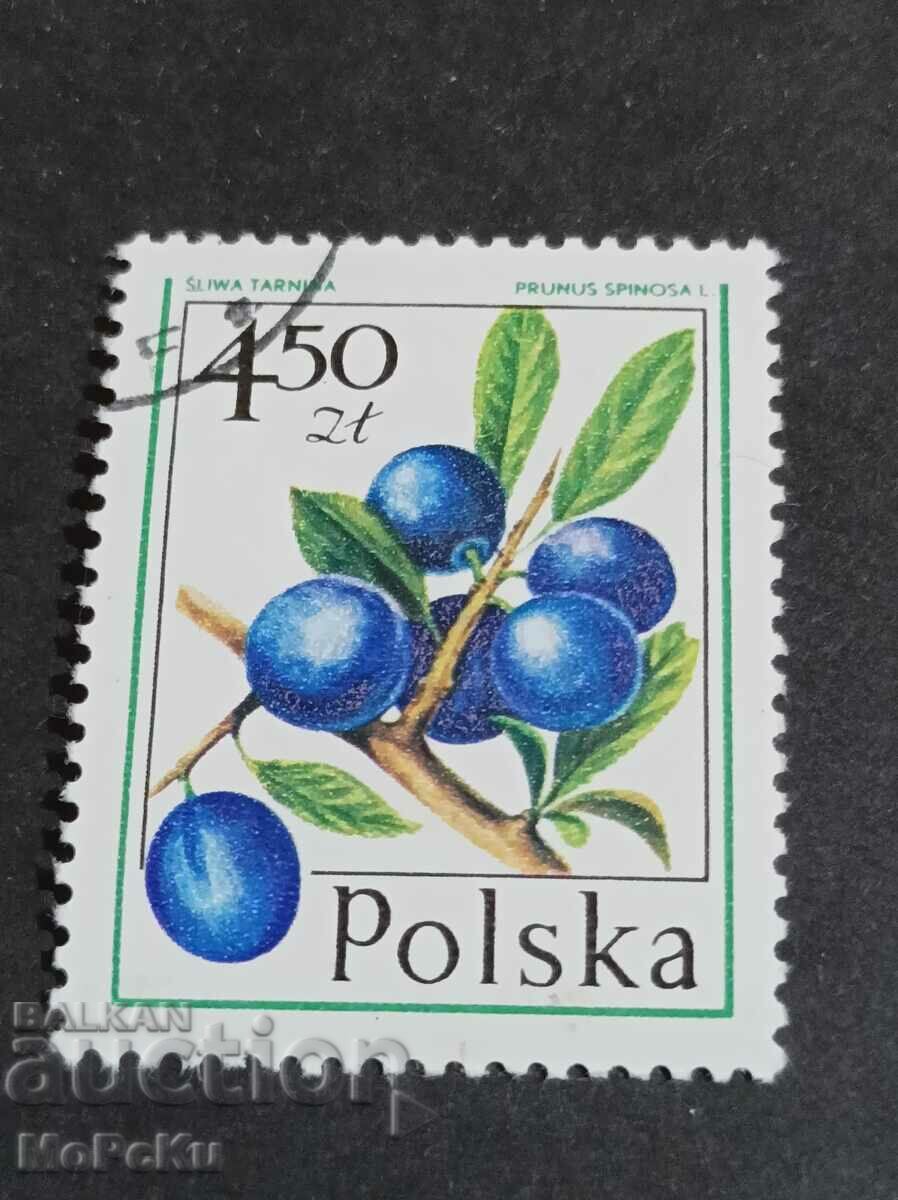 timbru postal Polonia