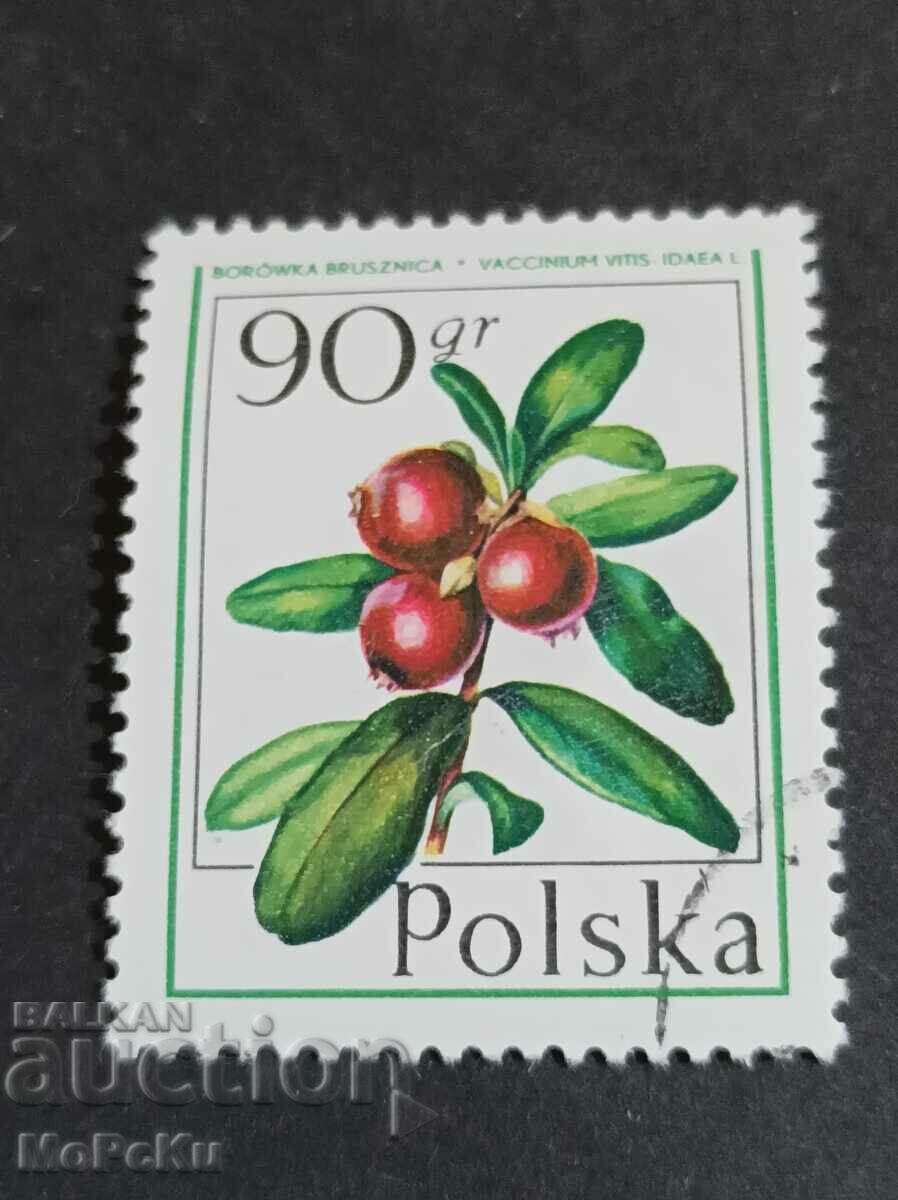 timbru postal Polonia