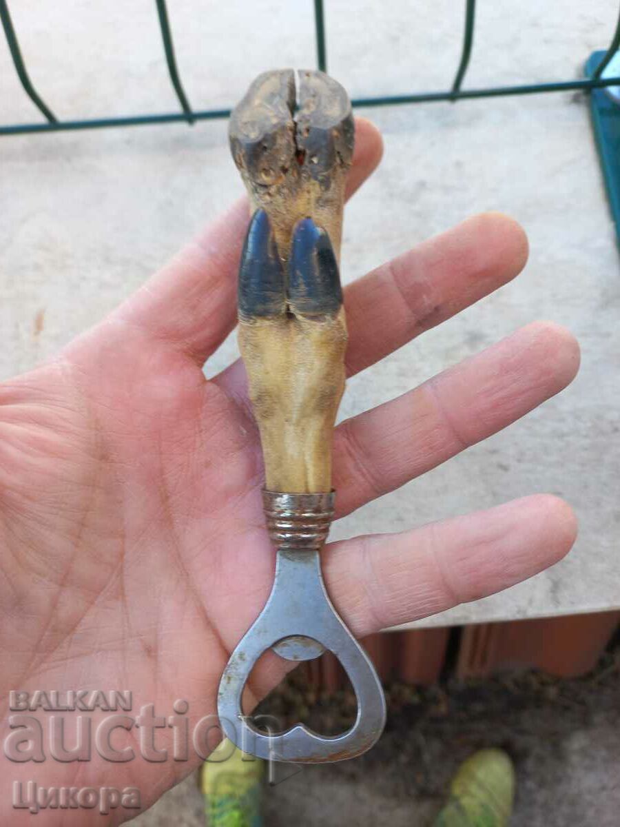 Auction  OLD HOOF OPENER