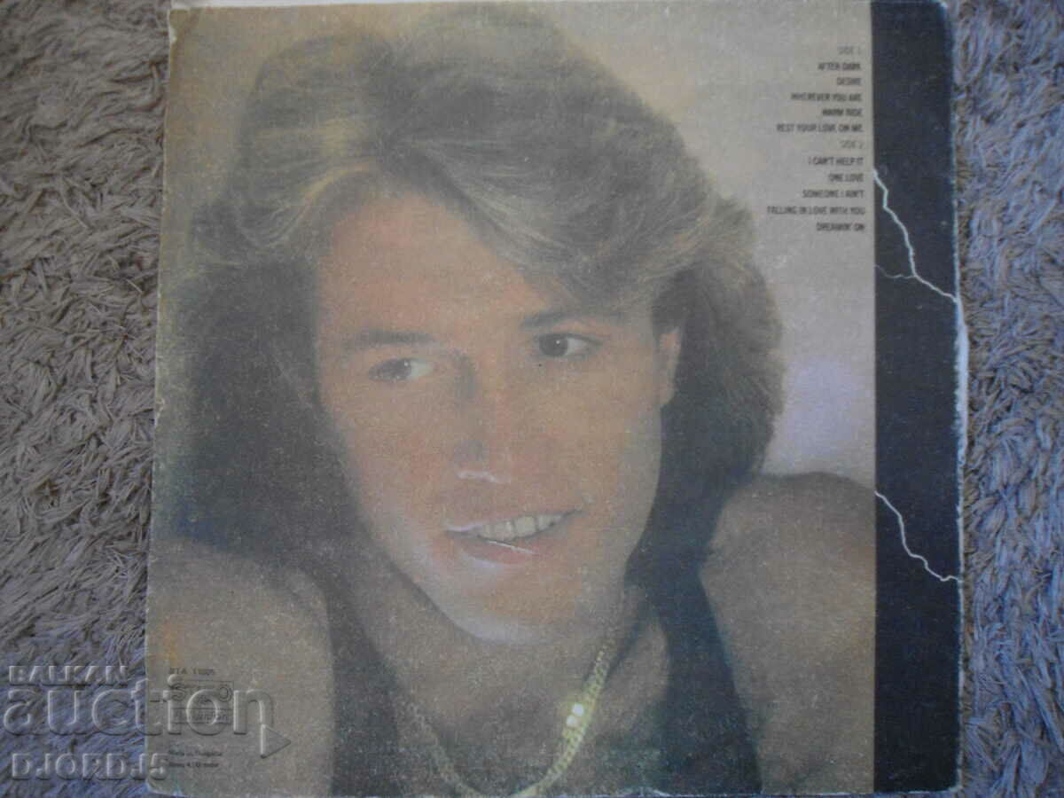Delivery of Andy Gibb, BTA 11005, gramophone record, large Delivery of Andy Gibb, BTA 11005, gramophone record, large