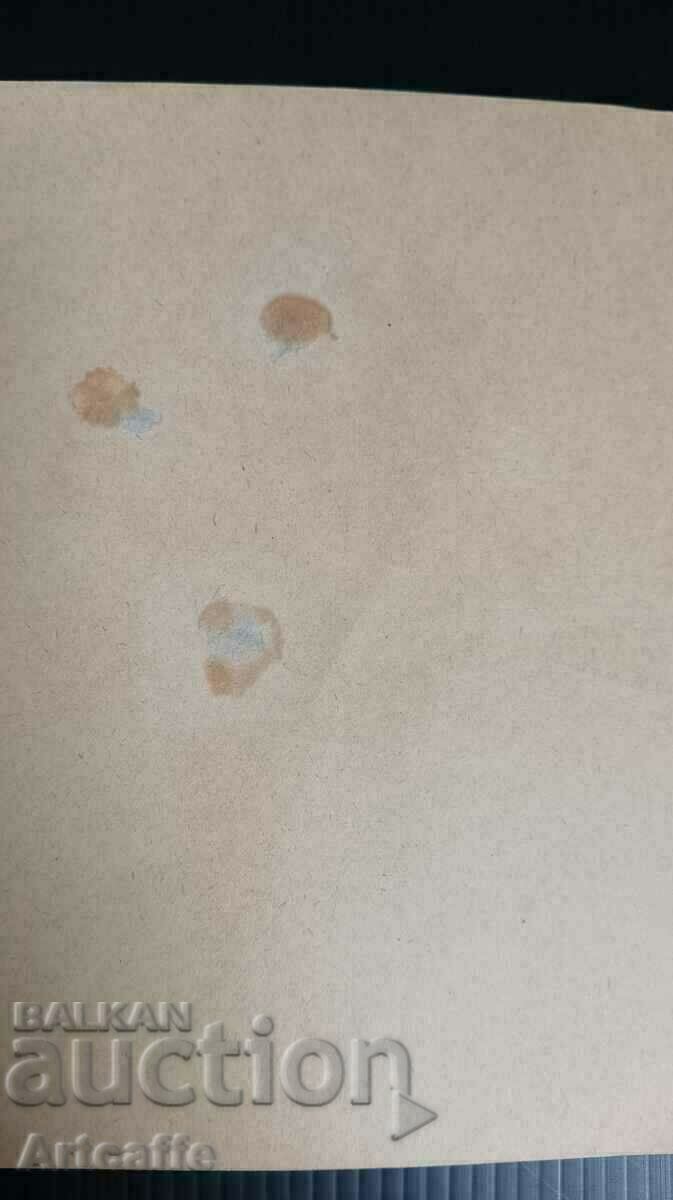 Jean Louis Prevost щампа - 6