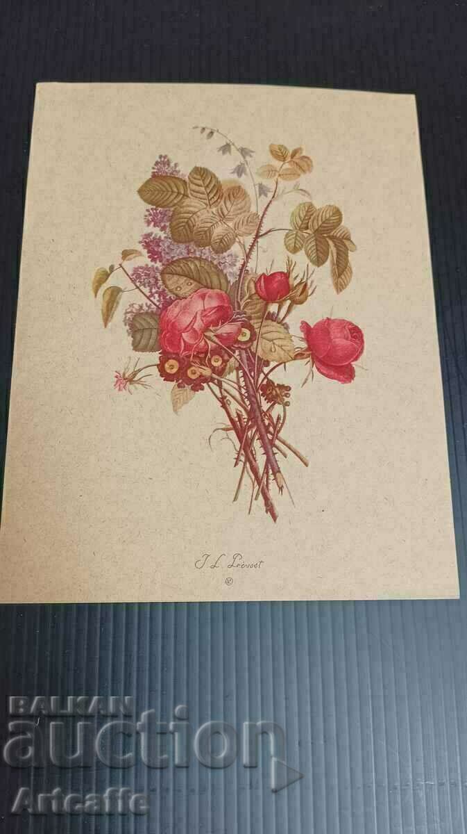 Jean Louis Prevost print Jean Louis Prevost print