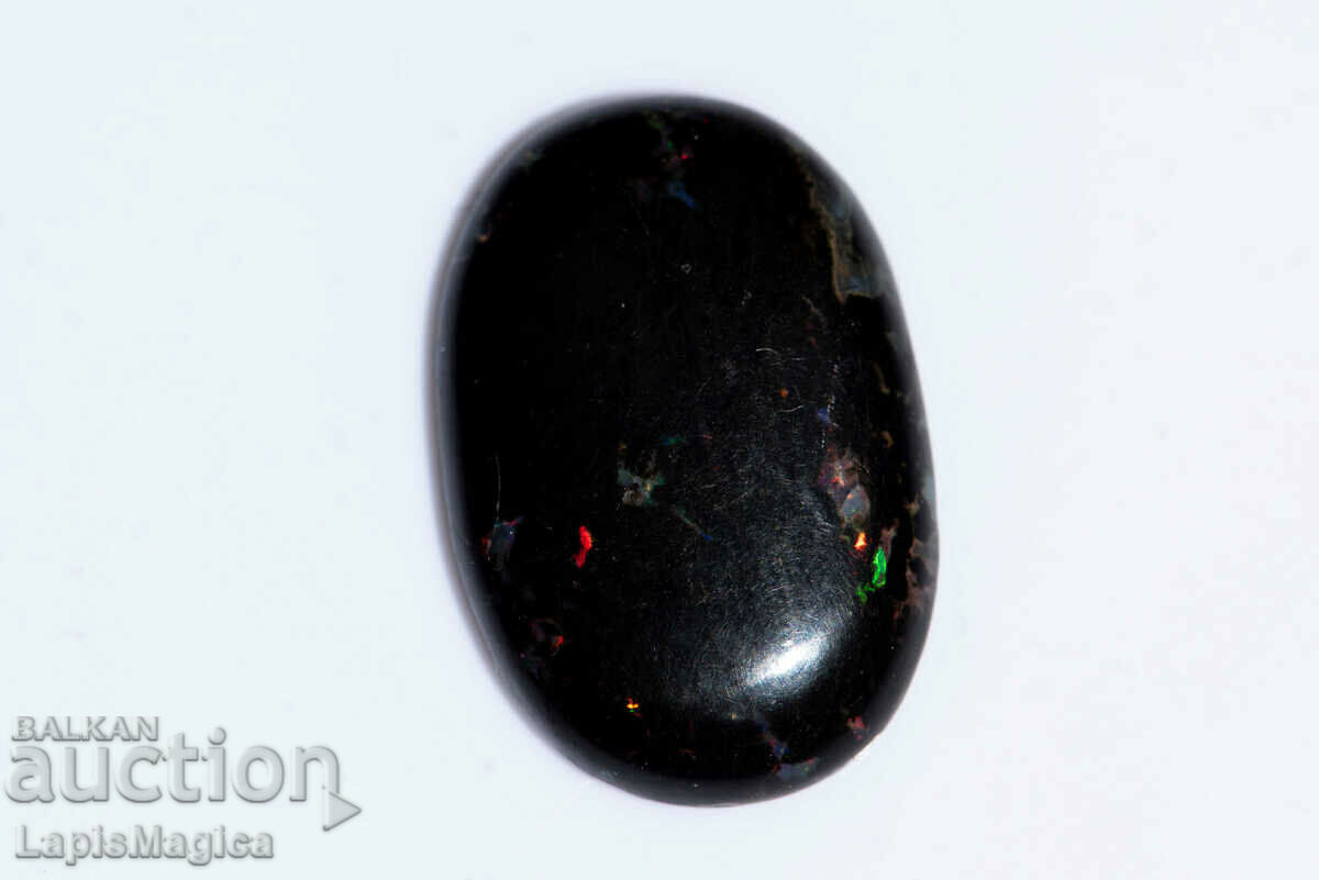 Opalized Wood 10.73ct Oval Cabochon #5 with price 28.00 BGN | € 14.32 Opalized Wood 10.73ct Oval Cabochon #5 with price 28.00 BGN | € 14.32