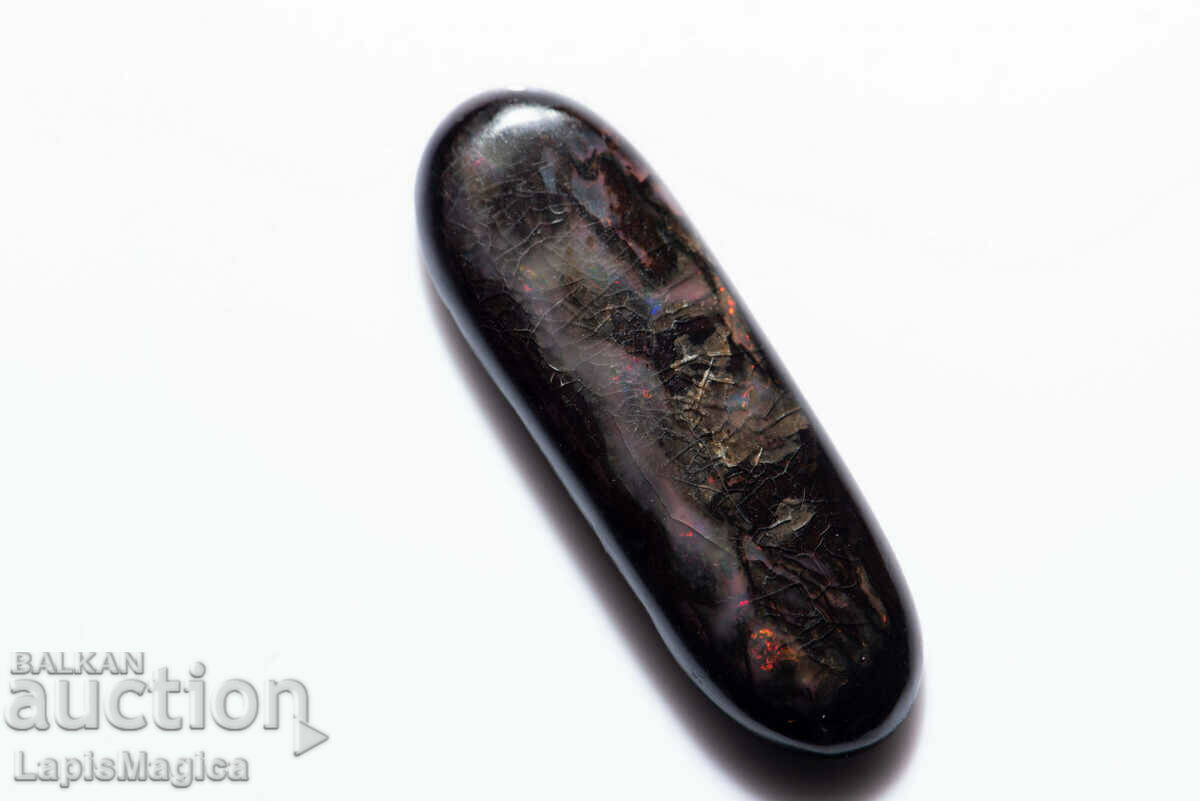 Lemn opalizat 13,34 ct Cabochon oval #6 cu preț 35.00 BGN | € 17.90