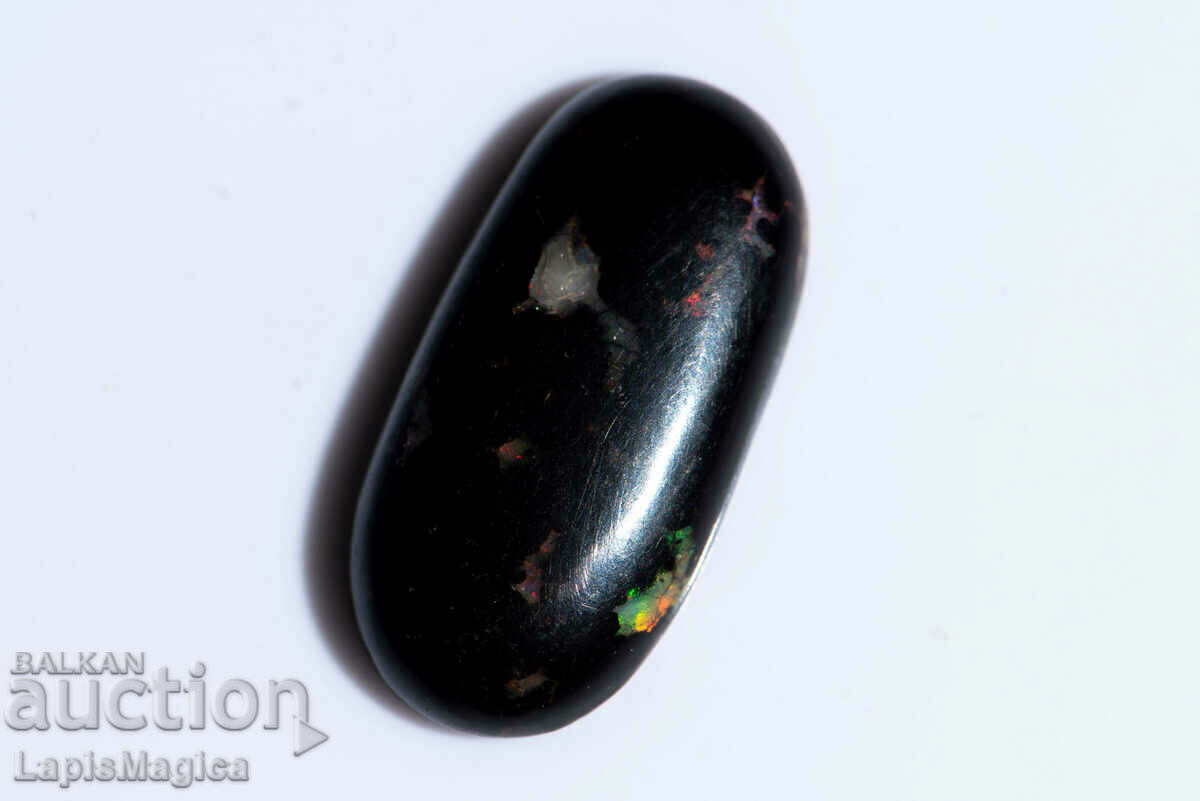 Opalized Wood 9.06ct Oval Cabochon #8