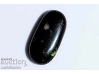 Opalized Wood 9.06ct Oval Cabochon #8