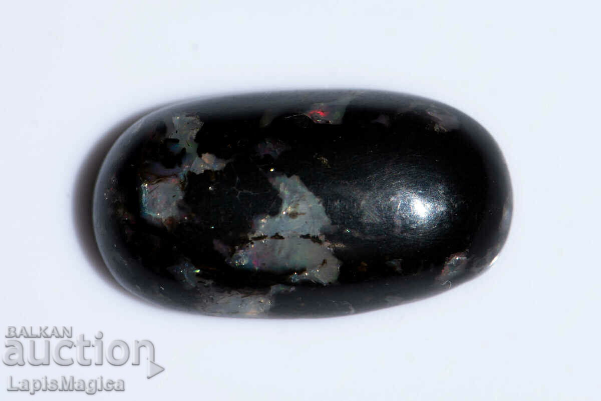 Auction Opalized Wood 10.67ct Oval Cabochon #9 Auction Opalized Wood 10.67ct Oval Cabochon #9