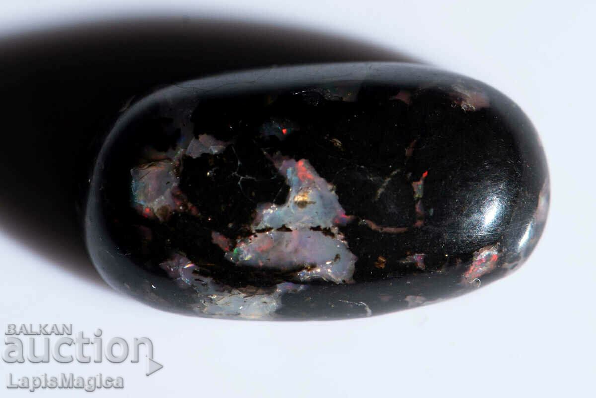 Opalized Wood 10.67ct Oval Cabochon #9