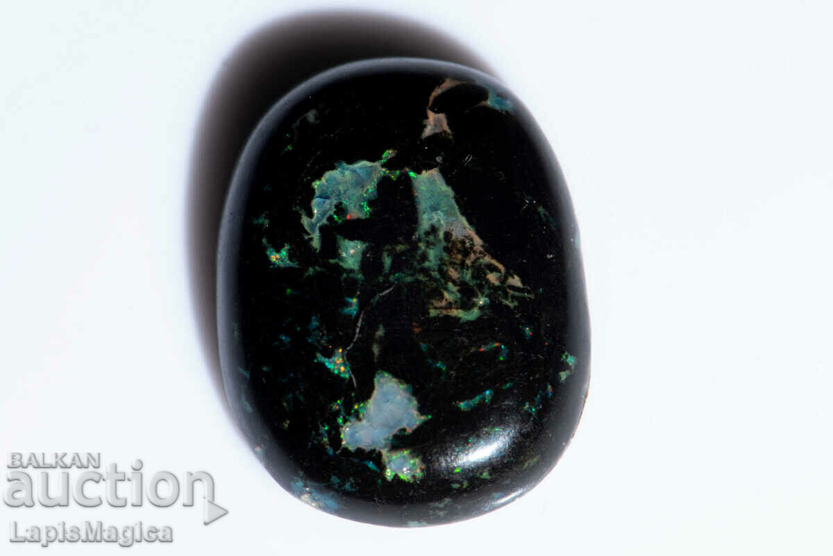 Opalized Wood 8.95ct Oval Cabochon #10