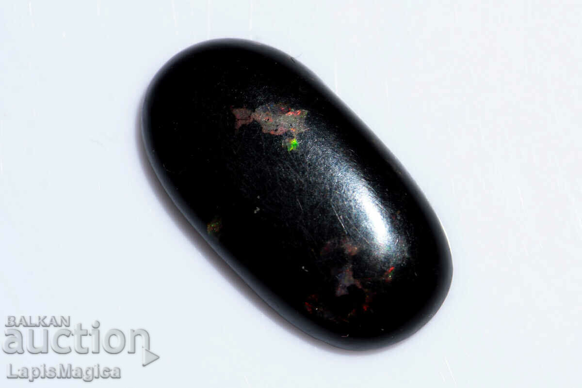 Opalized Wood 5.38ct Oval Cabochon #12