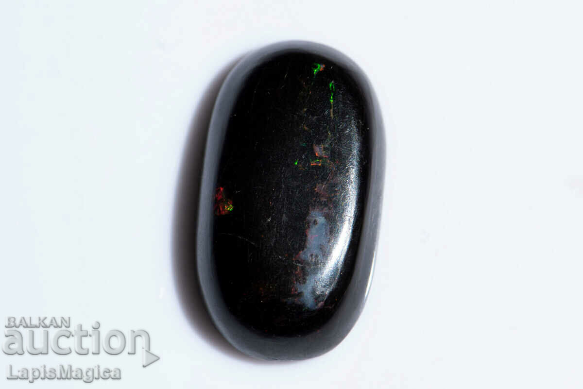 Opalized Wood 8.87ct Oval Cabochon #13