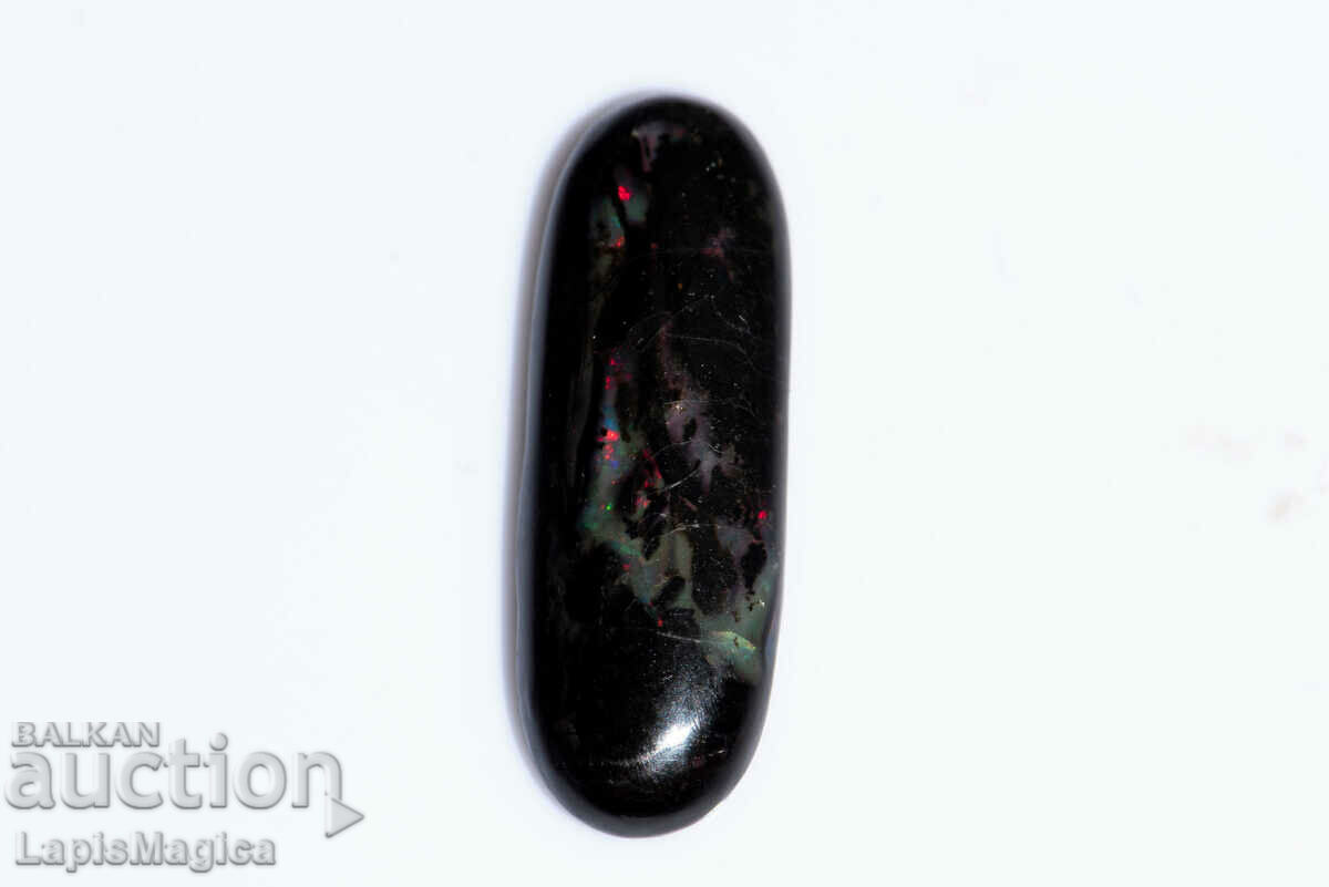 Opalized Wood 4.46ct Oval Cabochon #15