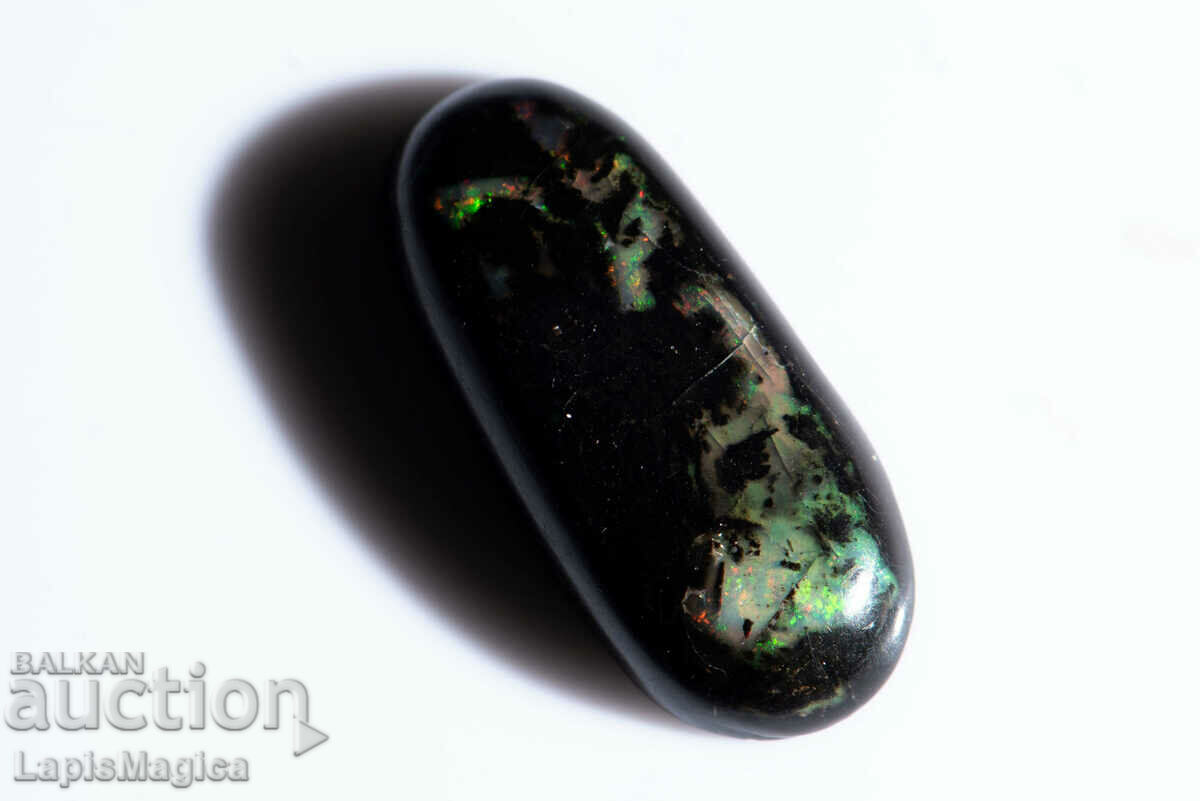 Opalized Wood 5.61ct Oval Cabochon #17