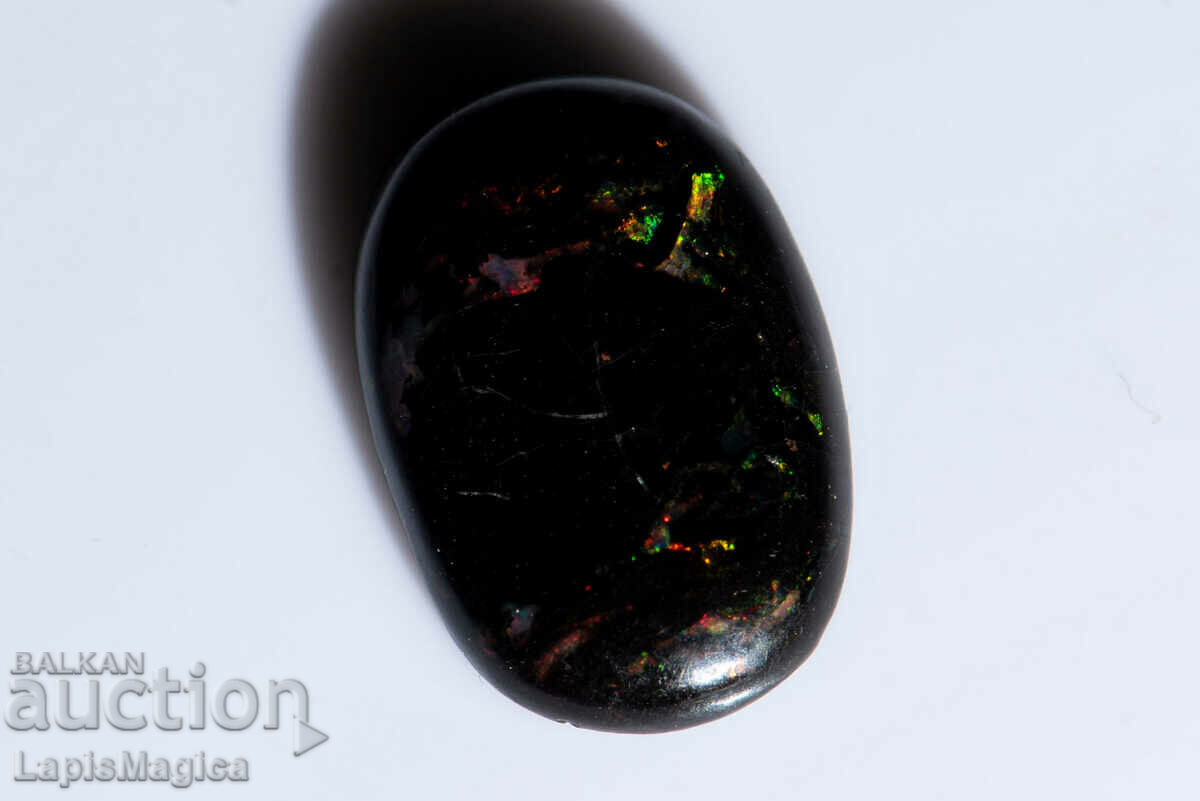 Opalized Wood 4.08ct Oval Cabochon #18