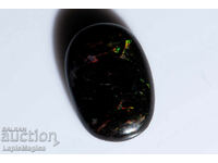 Opalized Wood 4.08ct Oval Cabochon #18