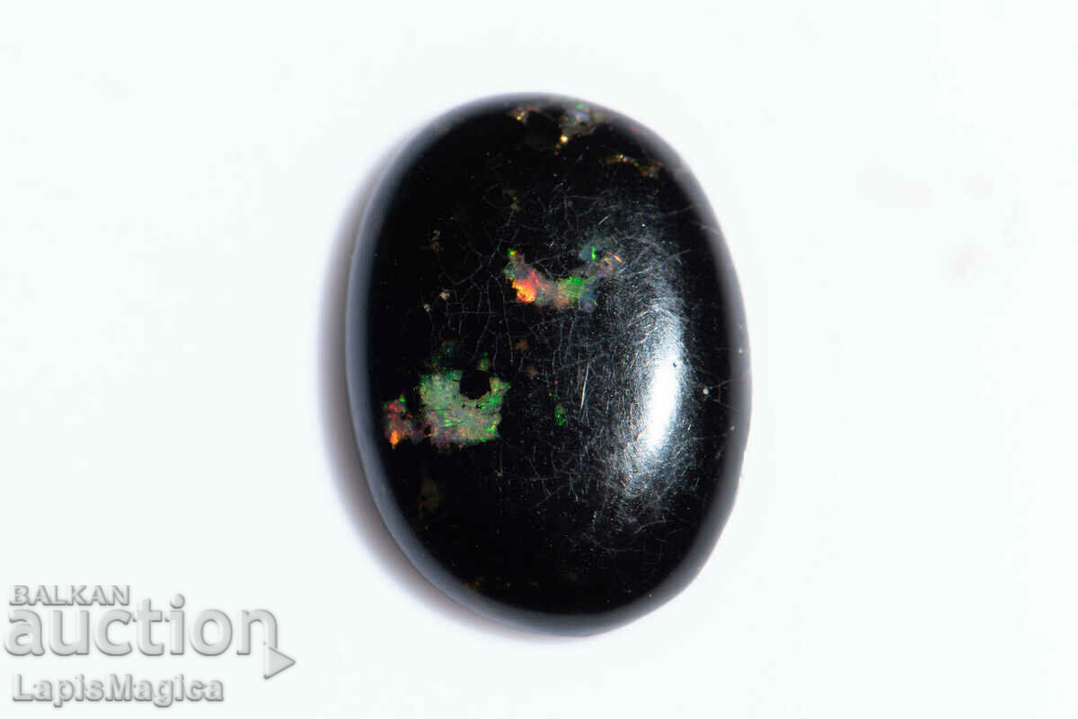 Opalized Wood 3.39ct Oval Cabochon #20