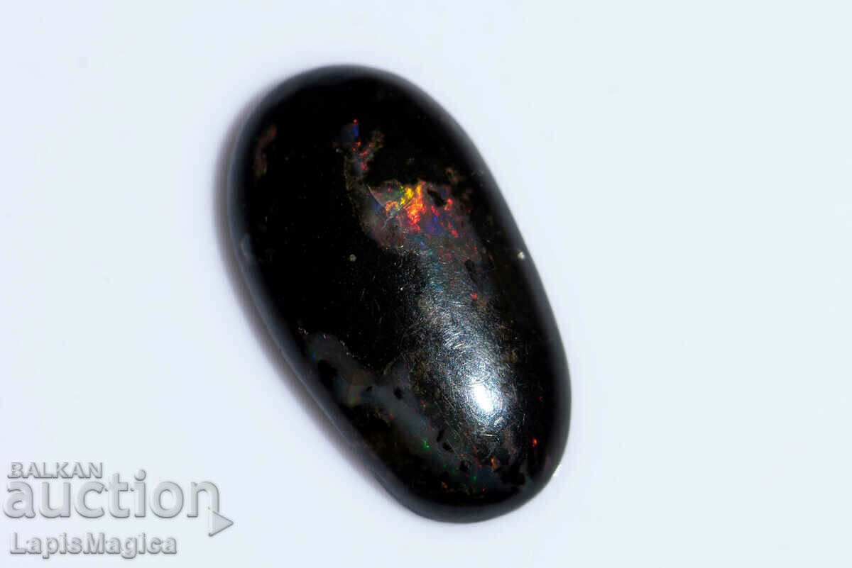 Opalized Wood 3.41ct Oval Cabochon #21