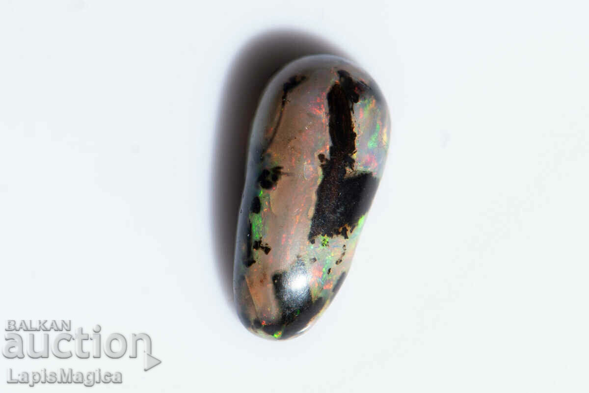 Opalized Wood 1.97ct Oval Cabochon #22