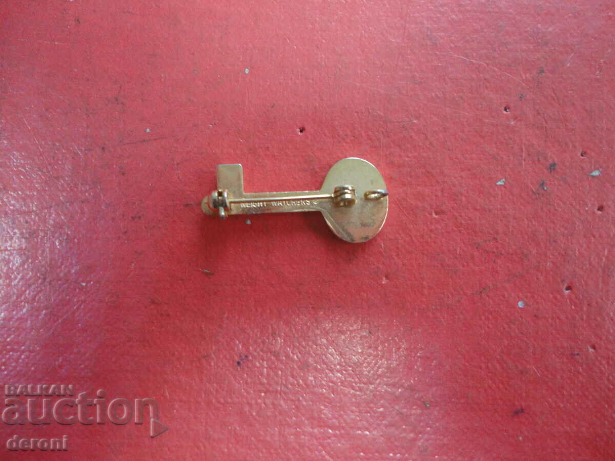 Auction Gold-plated key brooch with stone Auction Gold-plated key brooch with stone