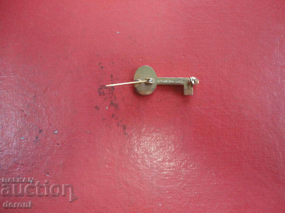 Delivery of Gold-plated key brooch with stone Delivery of Gold-plated key brooch with stone
