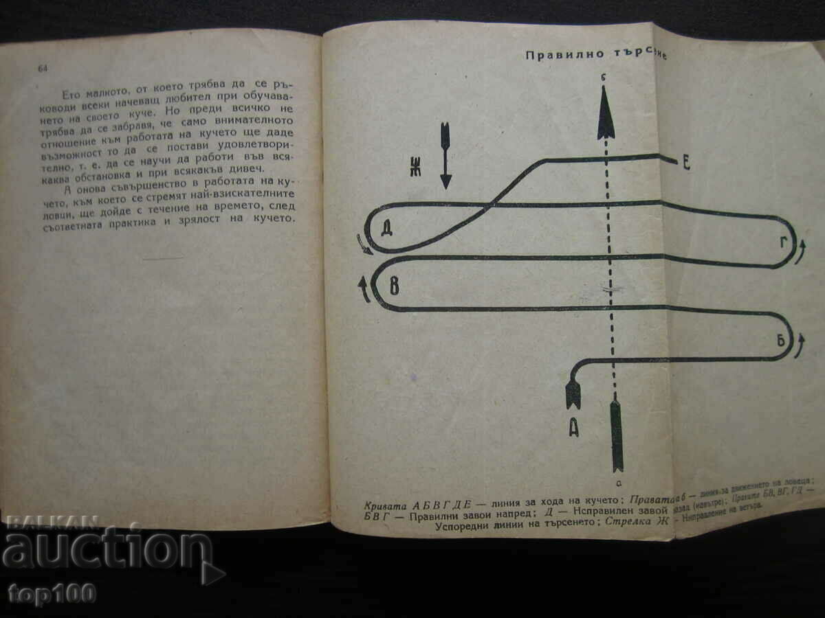 HOW TO TRAIN THE CHICKEN BY V.M.NOVIKOV 1949!!! - 6 HOW TO TRAIN THE CHICKEN BY V.M.NOVIKOV 1949!!! - 6