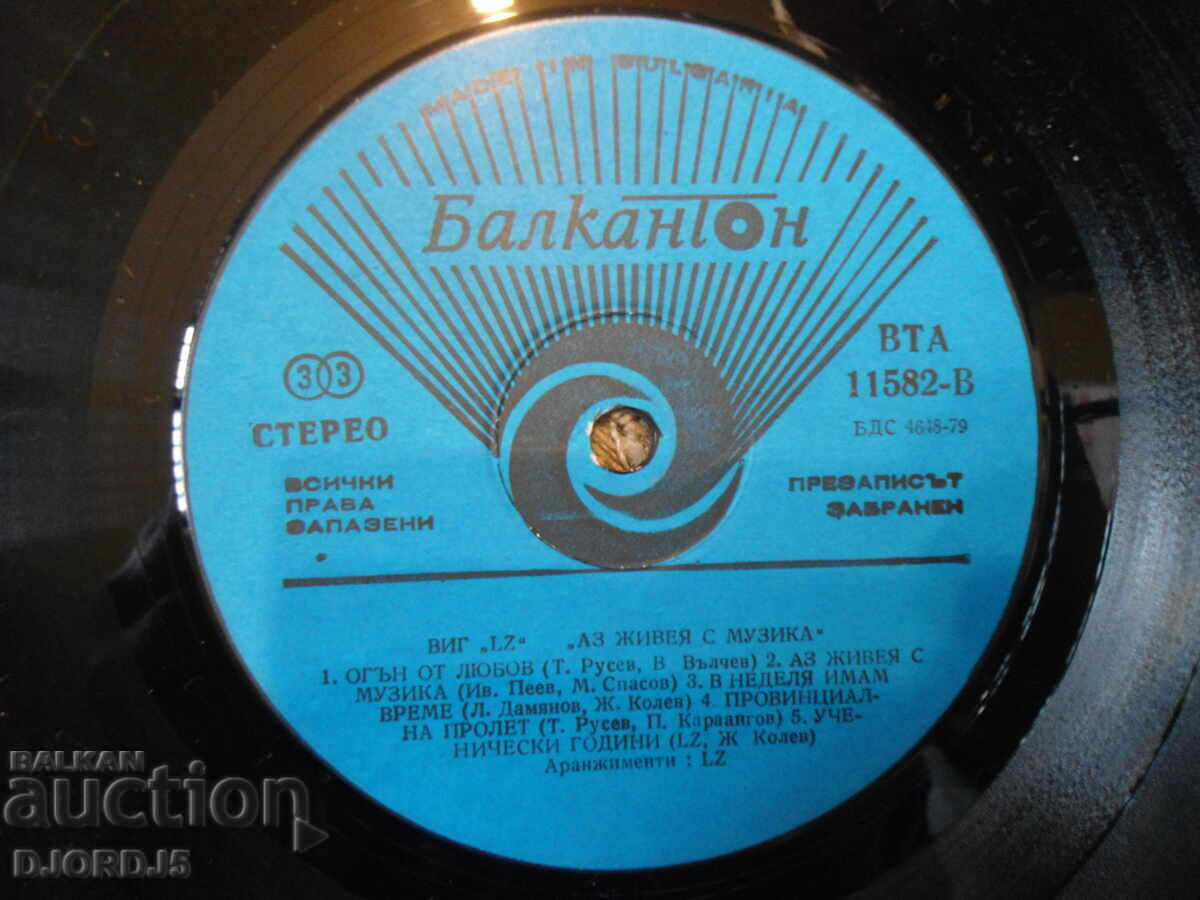 Auction VIG "LZ", VTA 11582, gramophone record, large Auction VIG "LZ", VTA 11582, gramophone record, large