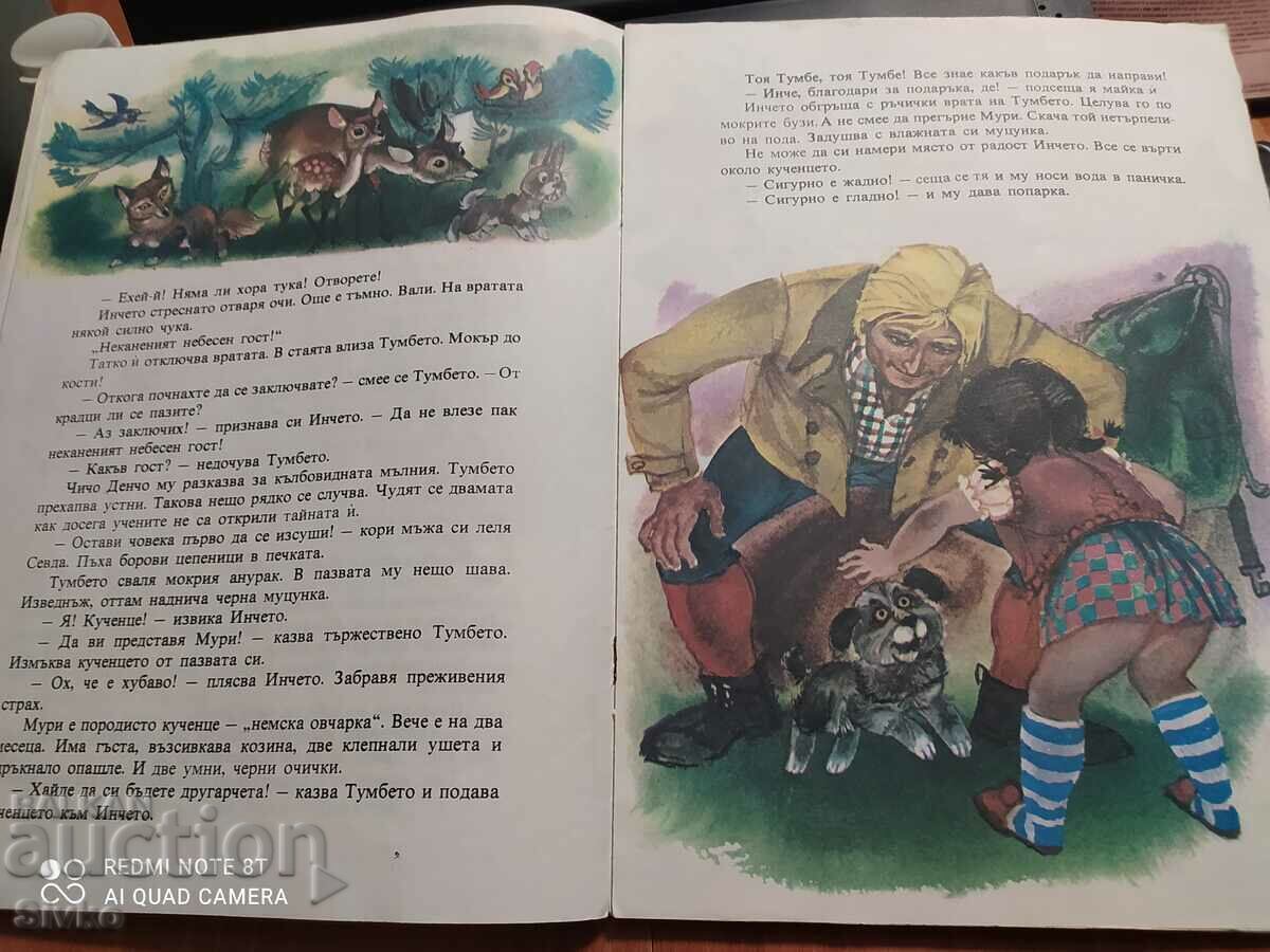 Vera Stoimenova, Incheto și Muri - 5 Vera Stoimenova, Incheto și Muri - 5