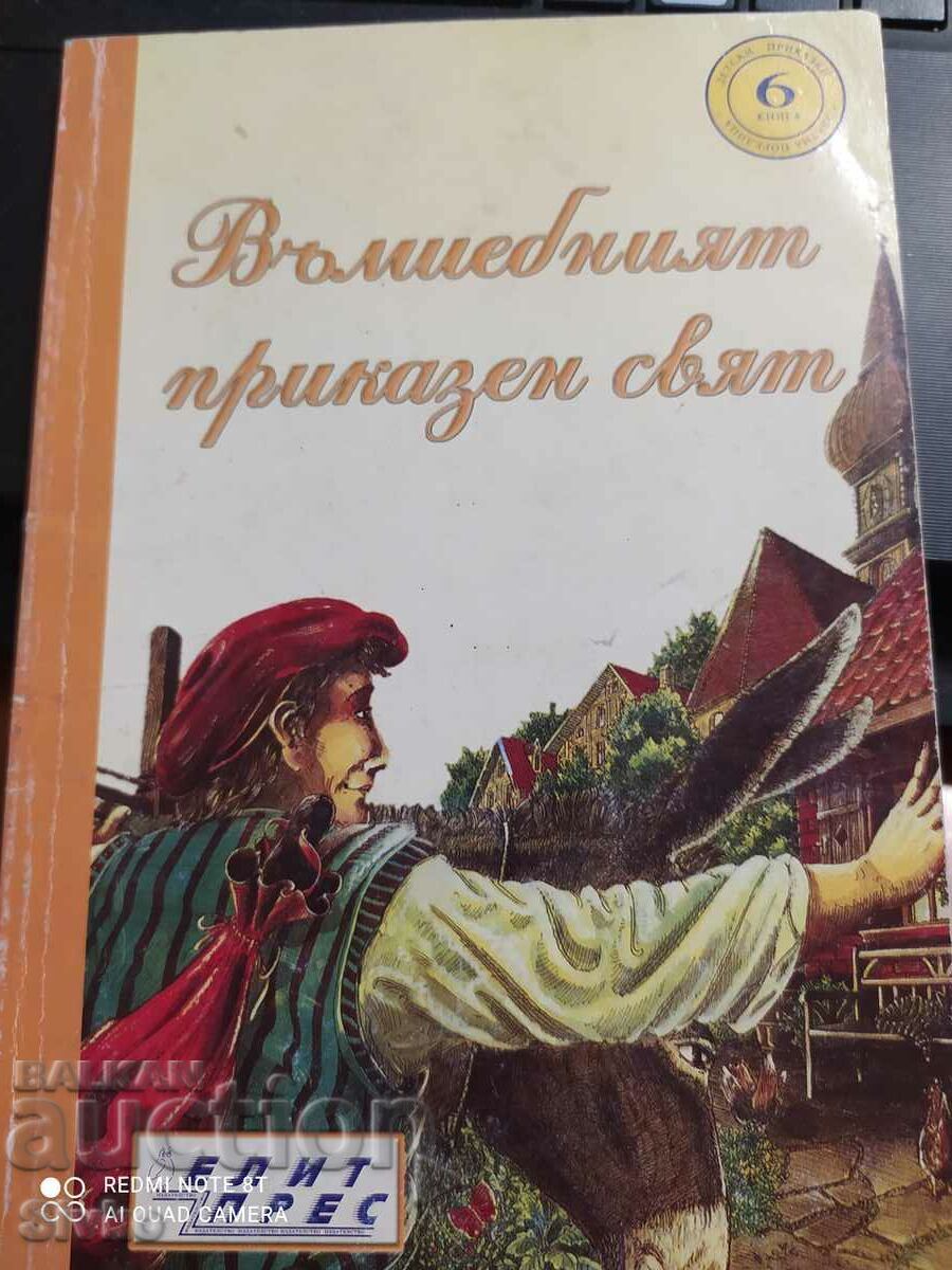 Ο μαγικός νεραϊδόκοσμος, βιβλίο 6