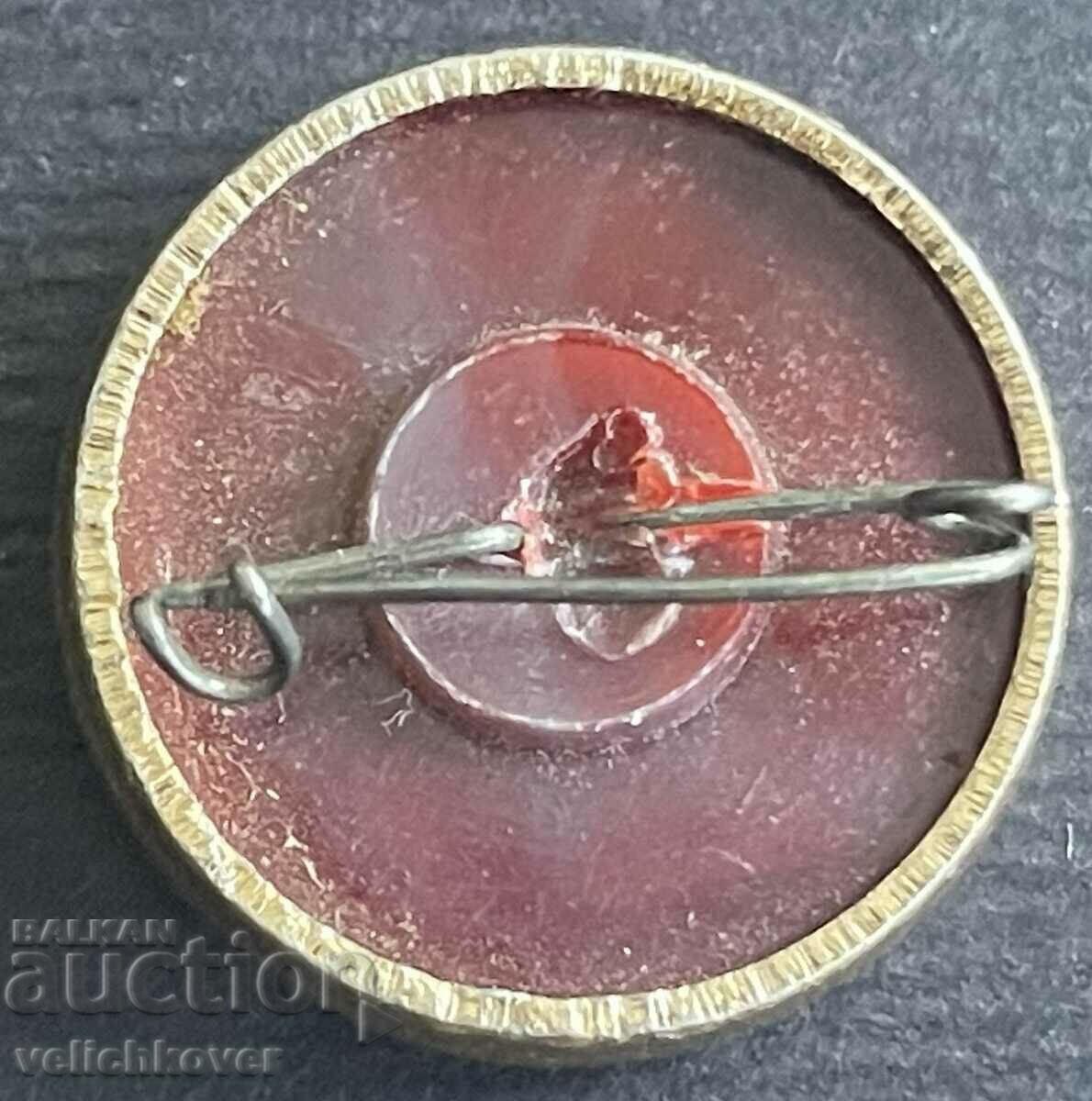 36133 USSR space badge cosmonaut with price 3.00 BGN | € 1.53 36133 USSR space badge cosmonaut with price 3.00 BGN | € 1.53