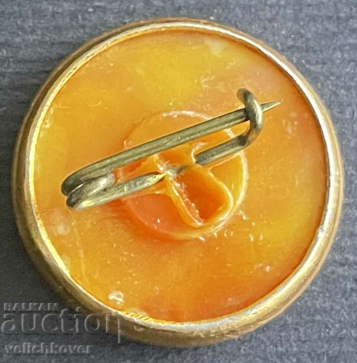 36134 USSR space badge cosmonaut with price 3.00 BGN | € 1.53 36134 USSR space badge cosmonaut with price 3.00 BGN | € 1.53